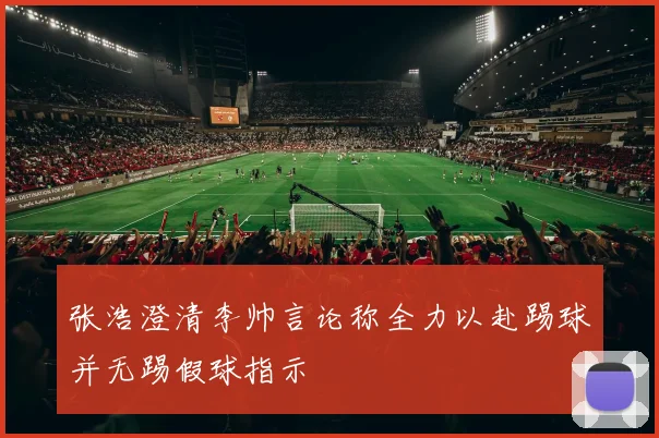 张浩澄清李帅言论称全力以赴踢球并无踢假球指示